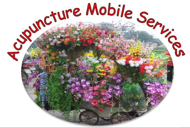Acupuncture Mobile Services