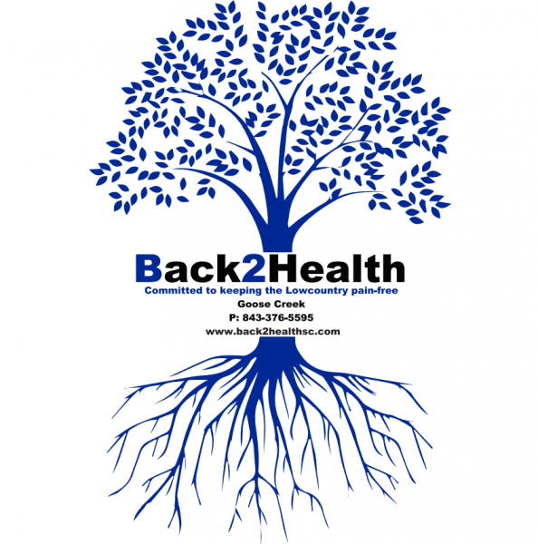 Back 2 Health Physical Medicine