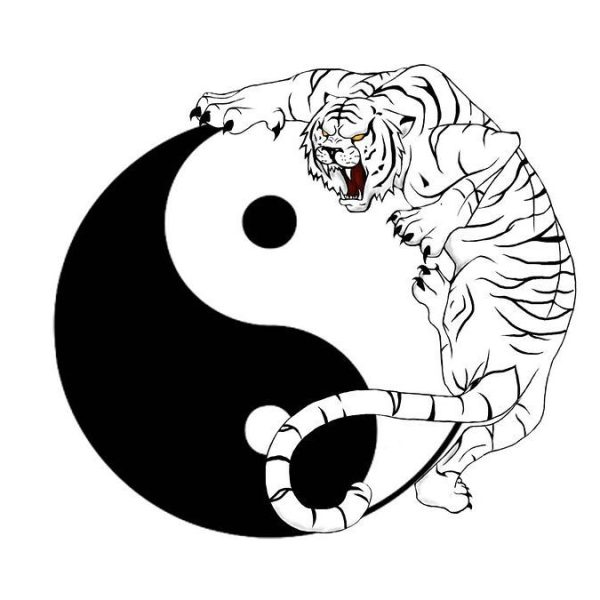 White Tiger Self Defense Academy