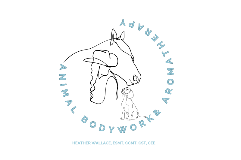 Animal Bodywork & Aromatherapy