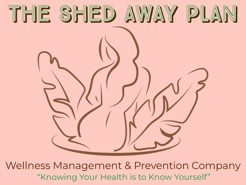 The Shed Away Plan