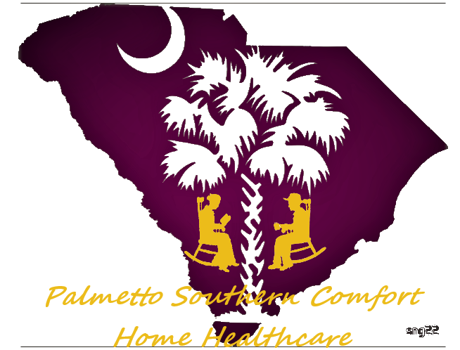 Palmetto southern comfort homecare