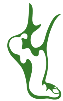 Advanced Foot and Ankle Care Centers