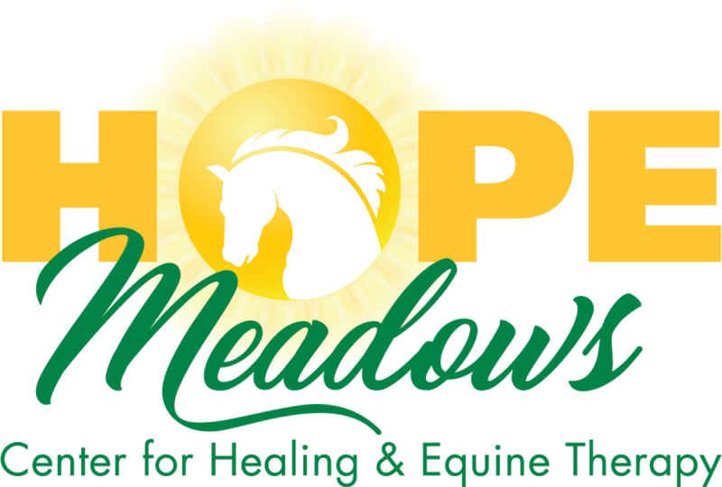 Hope Meadows Foundation