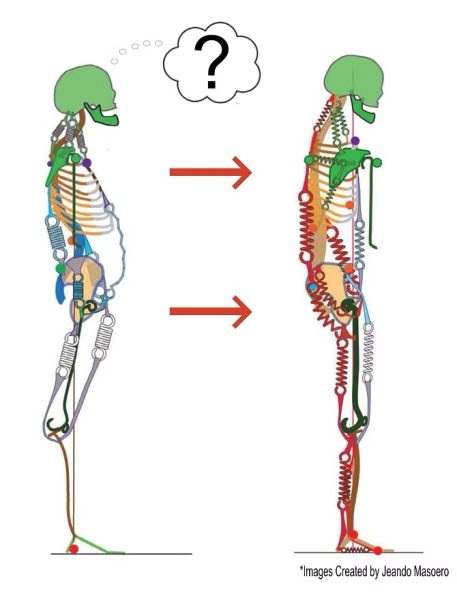 Spine-Smart