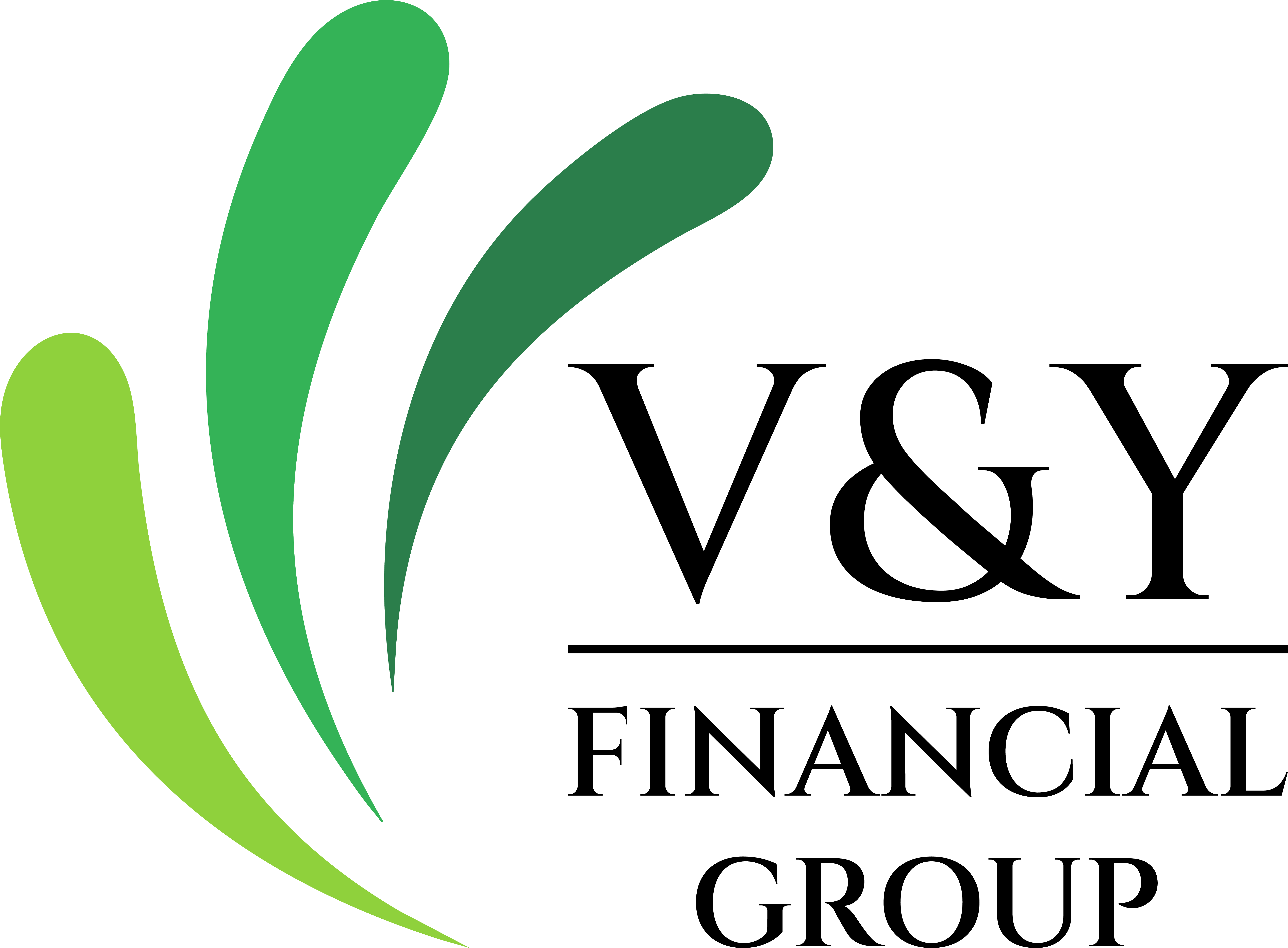 V&Y FINANCIAL GROUP, LLC