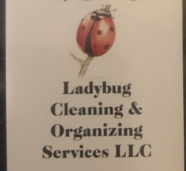 Ladybug Cleaning & Organizing Services LLC
