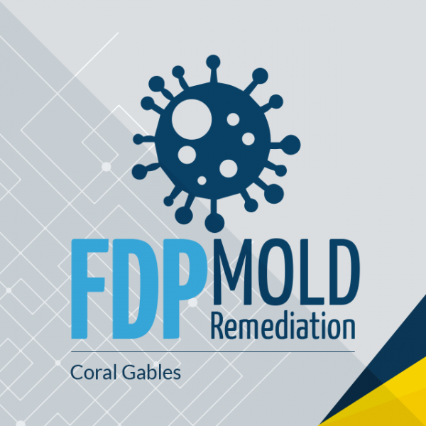 FDP Mold Remediation of Coral Gables