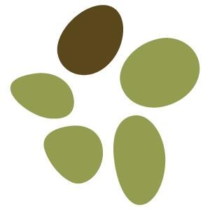 MaxWell Medical