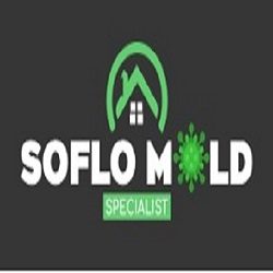 Soflo Mold Specialist