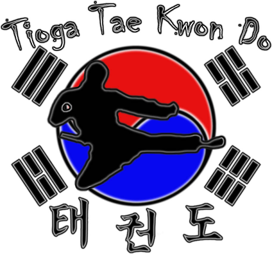 Tioga Tae Kwon Do