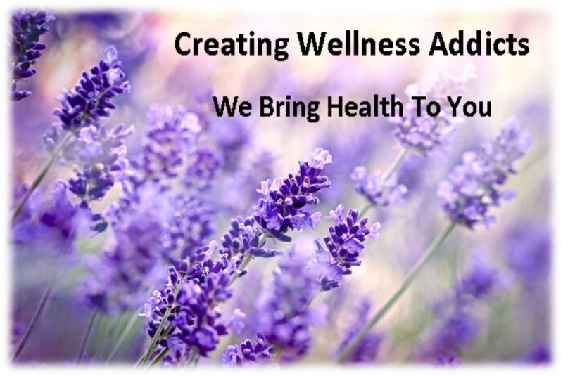 Wellness Addicts