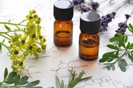 doTERRA International