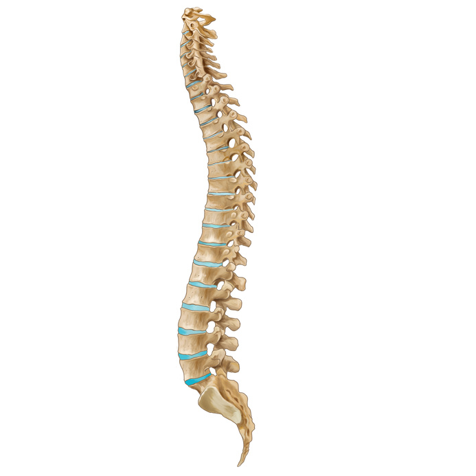 Neck & Back Pain Specialists