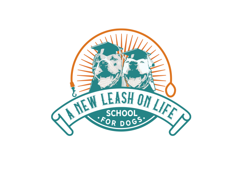 A New Leash on Life - School for Dogs