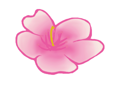 Peach Blossom Yoga Therapy,llc