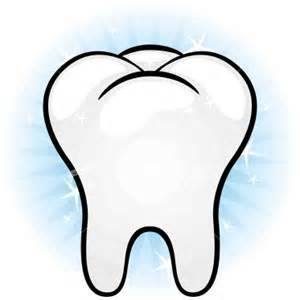 Favero Family Dental
