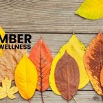 Copy of With Images – November 2025